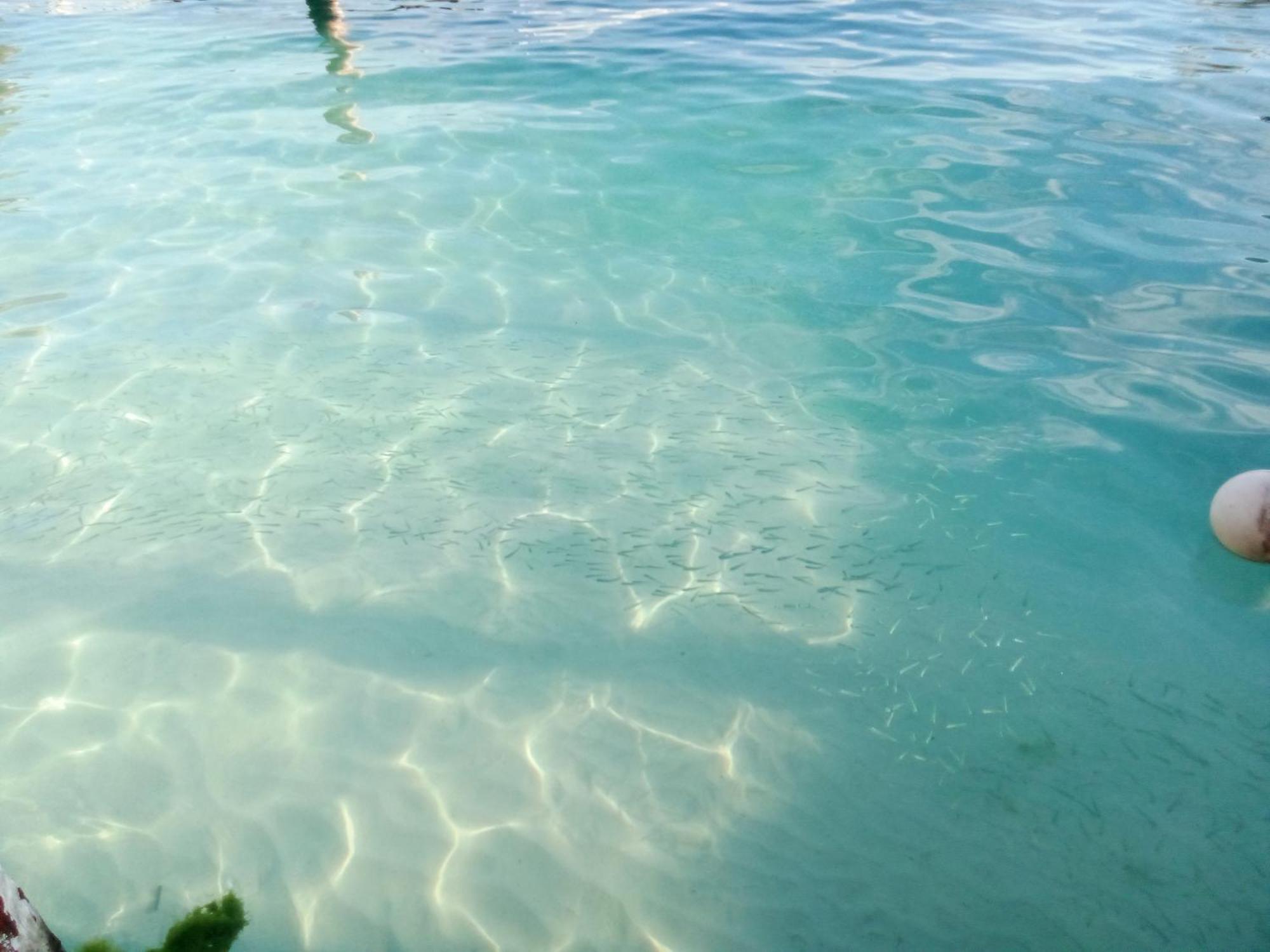 Hidden Island Glamping Isla Mujeres Hotel Bagian luar foto